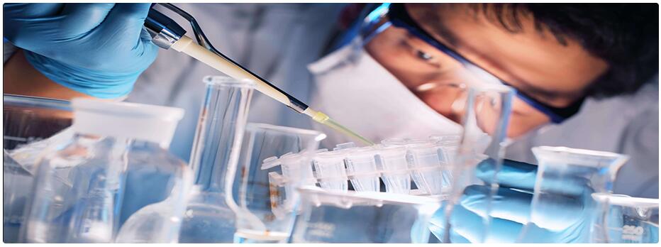 研發(fā)與服務(wù)平臺(tái) 研發(fā)與服務(wù)平臺(tái)