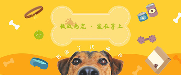 寵物服務(wù) 寵物服務(wù)